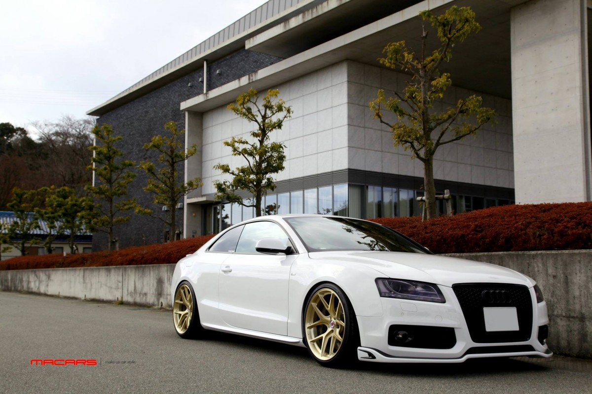 Audi A5/B8 2.0TQ Coupe